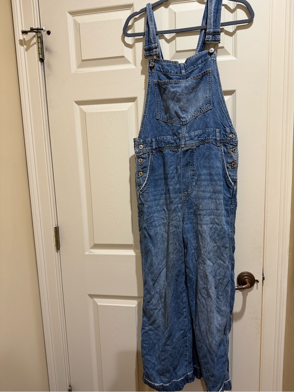 Free People We The Free Classic Light Blue Denim Overalls